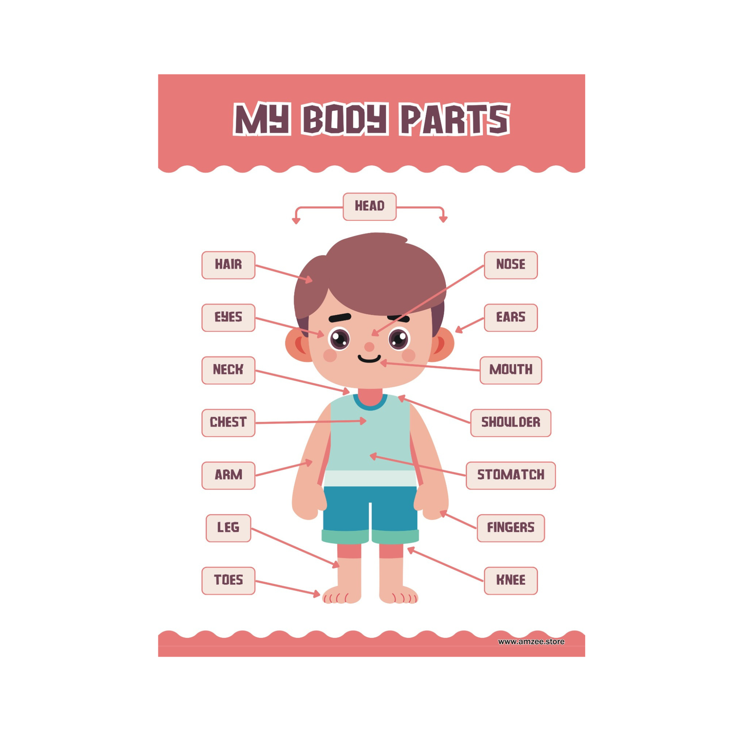 Kids self-learning sheets ( Size 2 feet x 2.5 feet )