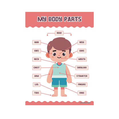 Kids self-learning sheets ( Size 2 feet x 2.5 feet )